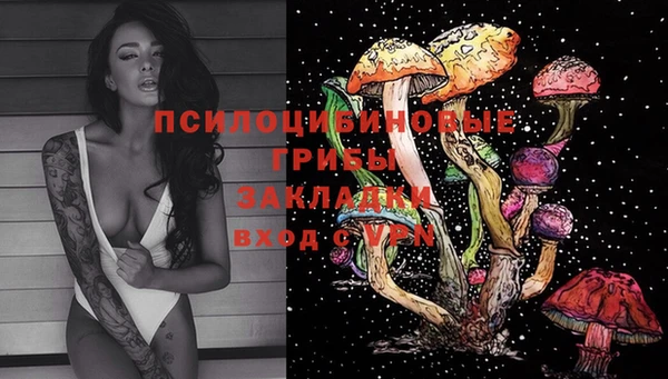 Альфа ПВП Арсеньев