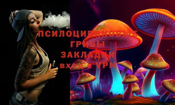 Альфа ПВП Арсеньев