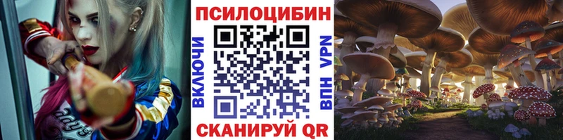 Псилоцибиновые грибы Psilocybine cubensis  shop формула  Заволжск 